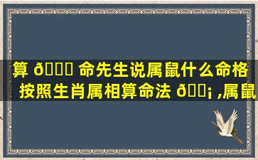 算 🐝 命先生说属鼠什么命格（按照生肖属相算命法 🐡 ,属鼠的人是什么命）